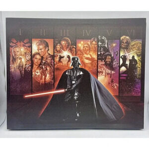 Star Wars Darth Vader Artissimo Wall Art Canvas 20”Long x 16”Wide‎